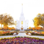 Brigham City Temple ~ Harvest Time