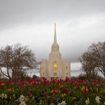 Brigham City Temple ~ April Showers