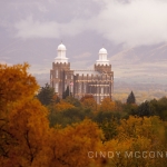 Logan Temple ~ Fall