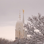 Brigham City Temple ~ Dusted with Snow