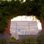 Snowflake Arizona Temple ~ Angel Moroni