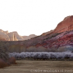 Capitol Reef National Park ~ Springtime